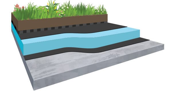 Green Roof